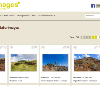 Reportage Madère Julien Amic