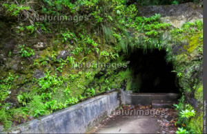 Tunnel levada Encumeada, Madère, julien Amic