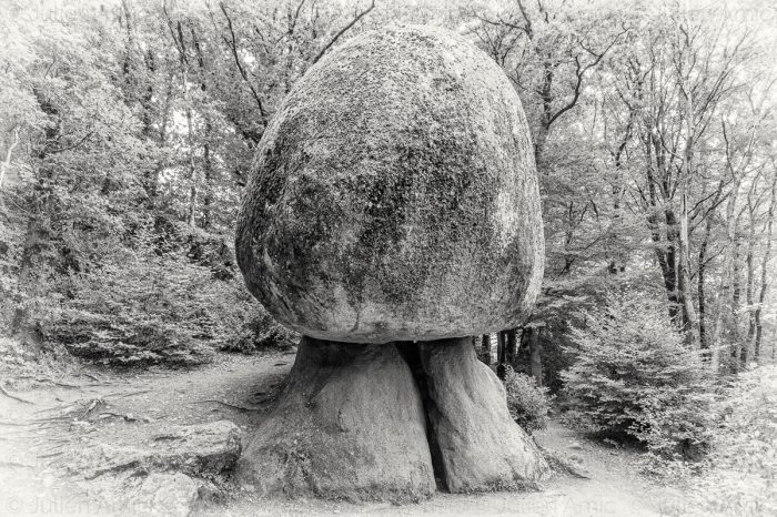Le rocher champignon de le forêt d'Huelgoat, Monts d'Arrée, Finistère, Parc naturel régional d'Armorique, bretagne - Julien Amic