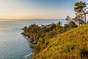 Ile Vierge - Julien Amic