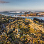 Les roches de fer à Ouessant - Julien Amic