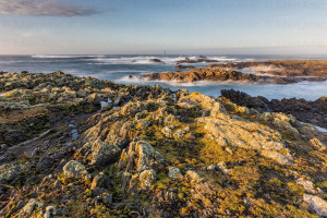 Les roches de fer à Ouessant - Julien Amic