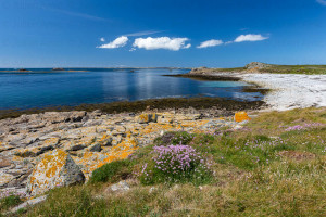 Molène - Julien Amic - Ouessant, Molène Sein. Îles d'Iroise