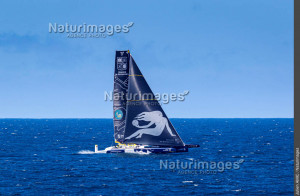Maxi Edmond de Rothschild - Naturimages - 22JAM10963