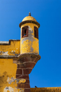 Forteresse de Sao Tiago, Madère - Julien Amic - agence Naturimages