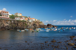 Camara do Lobos, Funchal, Madère - Julien Amic - agence Naturimages