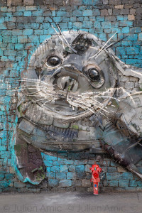 Camara do Lobos, Madère - Julien Amic - agence Naturimages