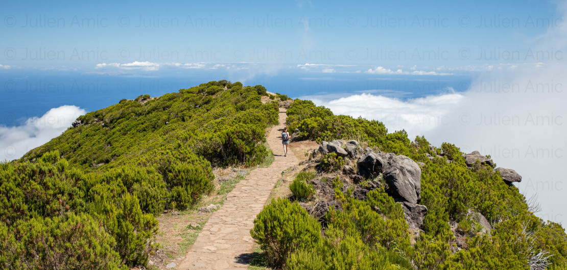 Vereda do Pico Ruivo, Madère - Julien Amic - agence Naturimages