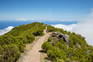 Vereda do Pico Ruivo, Madère - Julien Amic - agence Naturimages