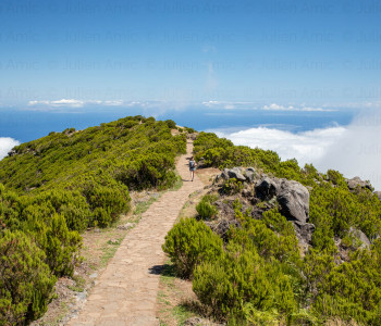 Vereda do Pico Ruivo, Madère - Julien Amic - agence Naturimages