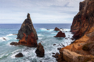 Les rochers hippocampes, Madère - Julien Amic - agence Naturimages