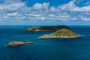 Le Petit et le Grand Mez de Goëlo - Naturimages - Julien Amic