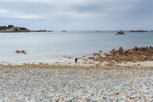 Cordon de galets de l'île Balanec à Penvénan - Naturimages - Julien Amic