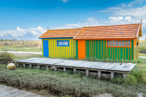 Maisons ostréicoles colorées - naturimages - Julien Amic