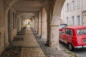 La Rochelle - naturimages - Julien Amic