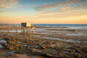 Carrelet à Port Loiron - Naturimages - Julien Amic