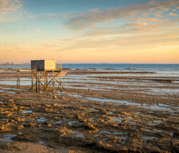 Carrelet à Port Loiron - Naturimages - Julien Amic