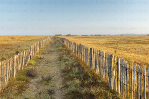 Réserve naturelle du marais d'Yves - Naturimages - Julien Amic