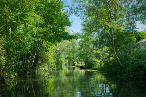 Bief de la Garenne - Naturimages - Julien Amic