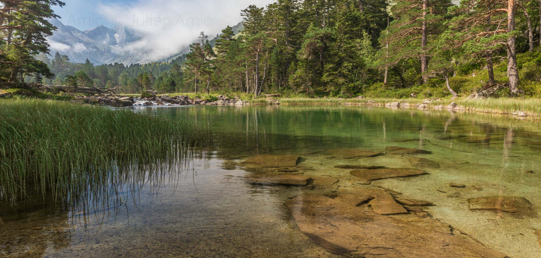 Lac des Huats - Julien Amic - naturimages
