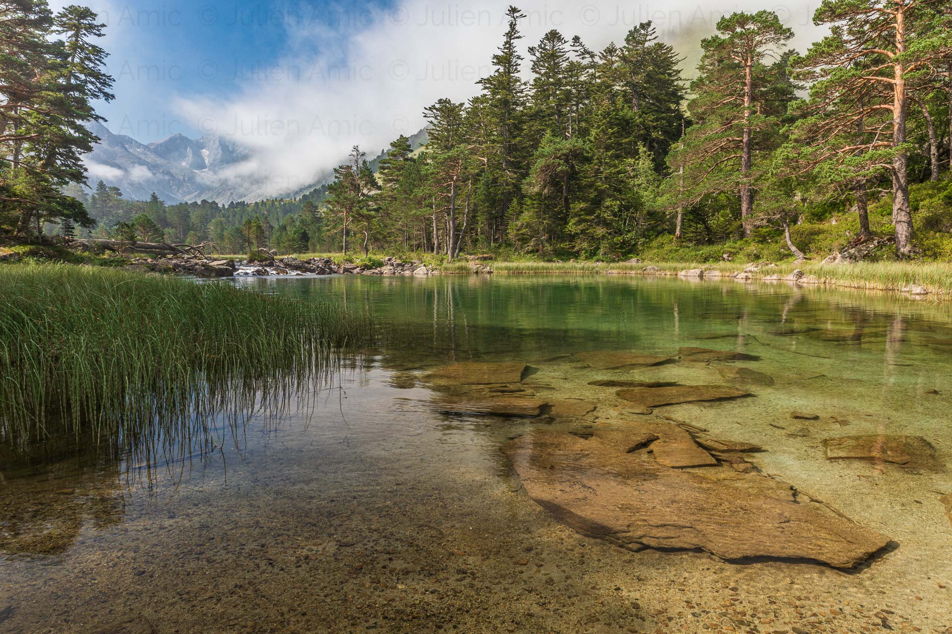 Lac des Huats - Julien Amic - naturimages