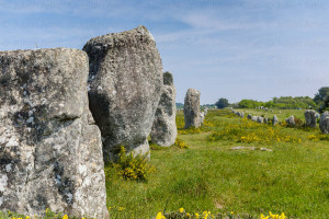 Alignements du Ménec à Carnac - Naturimages - julien Amic