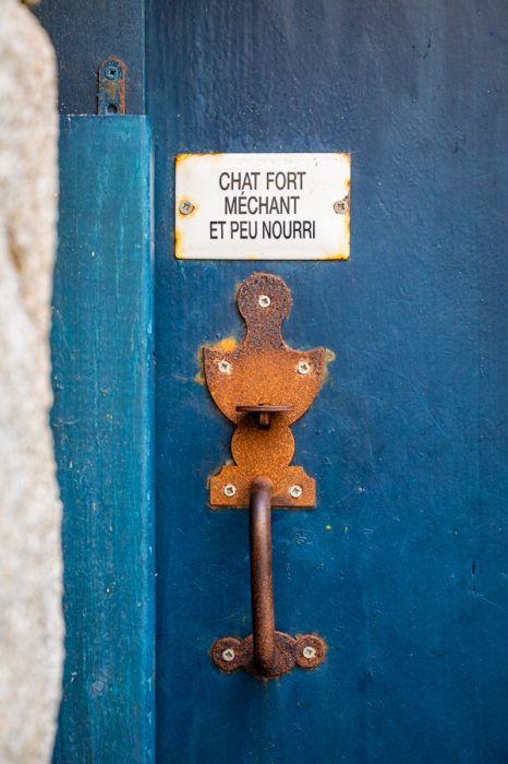 Chat méchant - Julien Amic